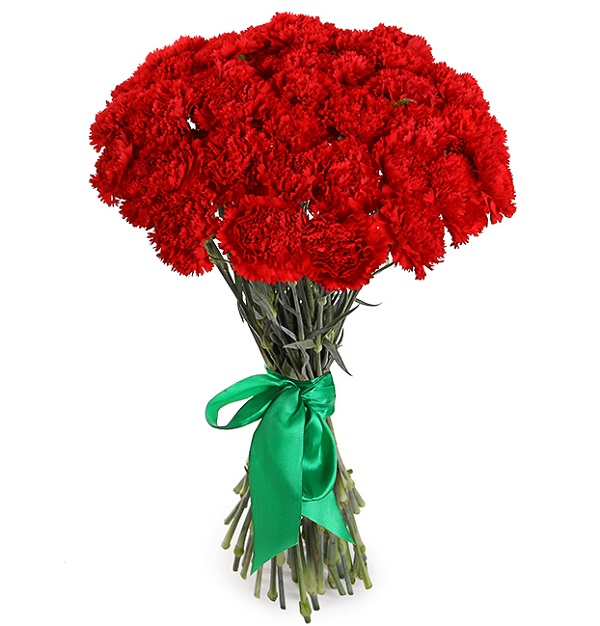 carnations, send flowers to ukraine, flowers kryvyi rih, deliver flowers ukraine